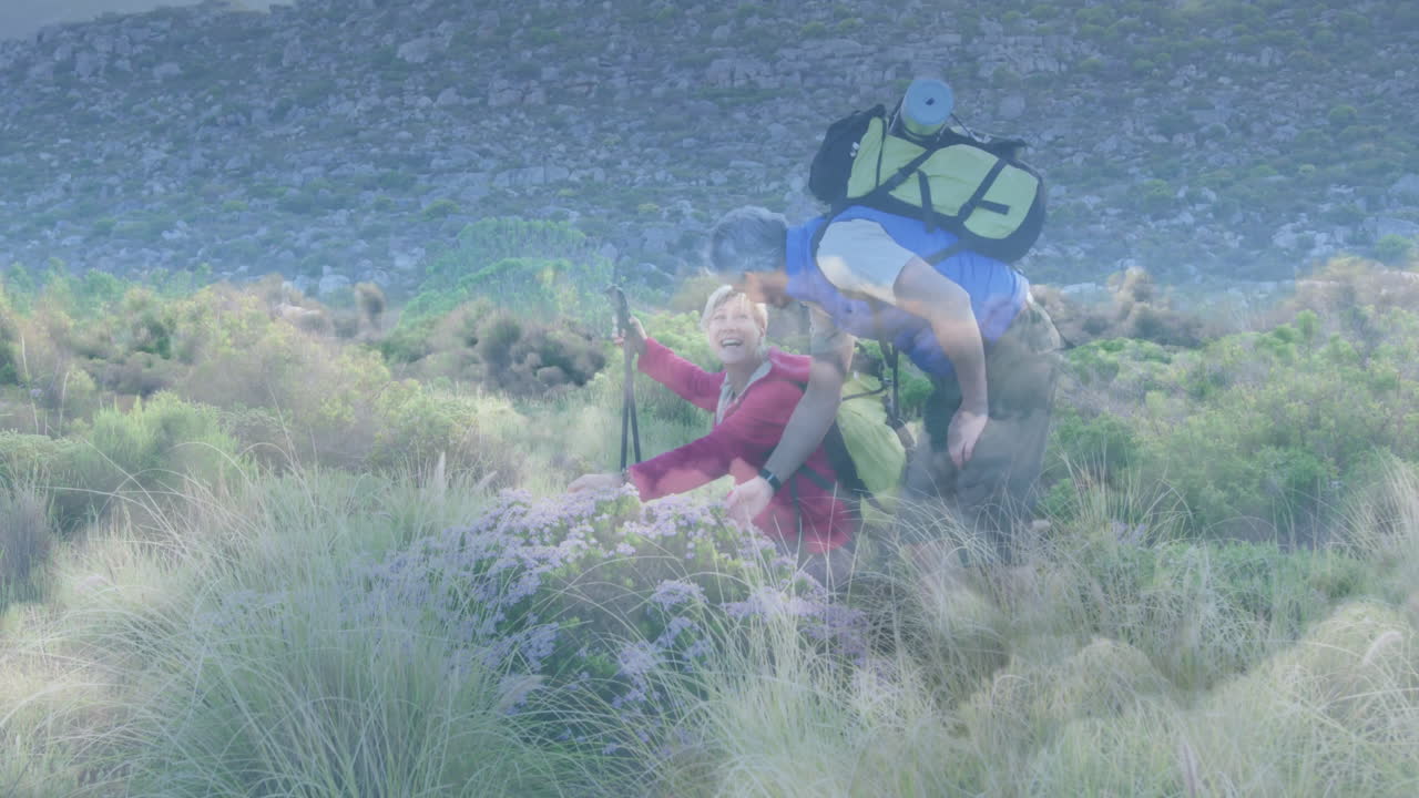 hiking couple examining wildflowers on rocky hillside, showing animated health data overlay