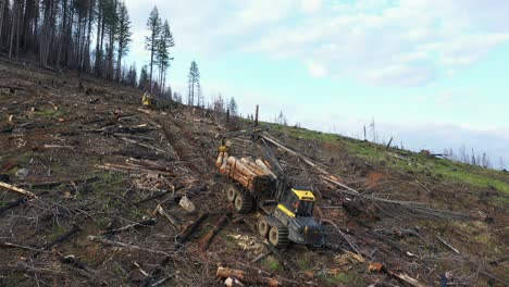 Transporte-De-Madera:-Imágenes-De-Drones-De-La-Tala-En-Una-Pendiente-Pronunciada