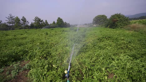 Feldbewässerungssystem.