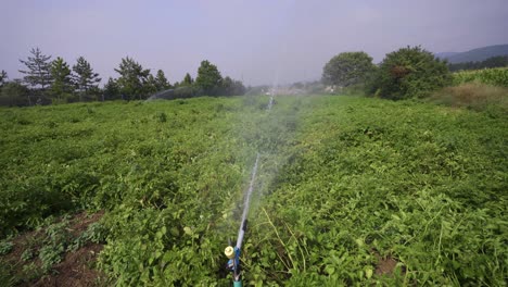 sistema de riego de campo.