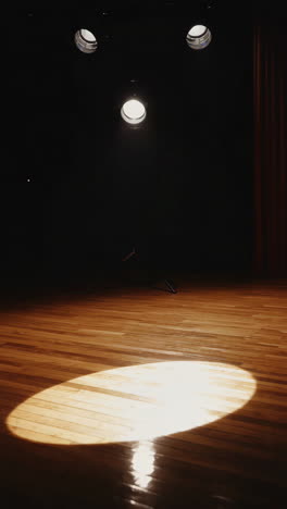 spotlight on stage