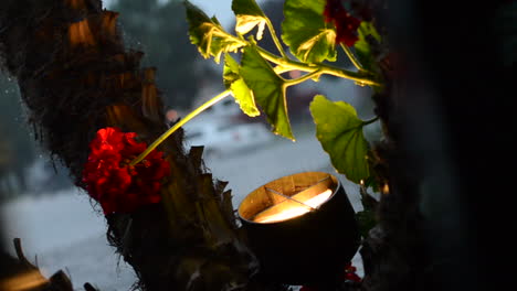 rose illuminated by landscape light in heavy rain storm