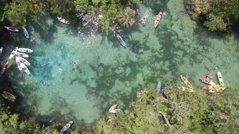 Tres-Hermanas-Brotan-Cerca-De-Crystal-River,-Florida