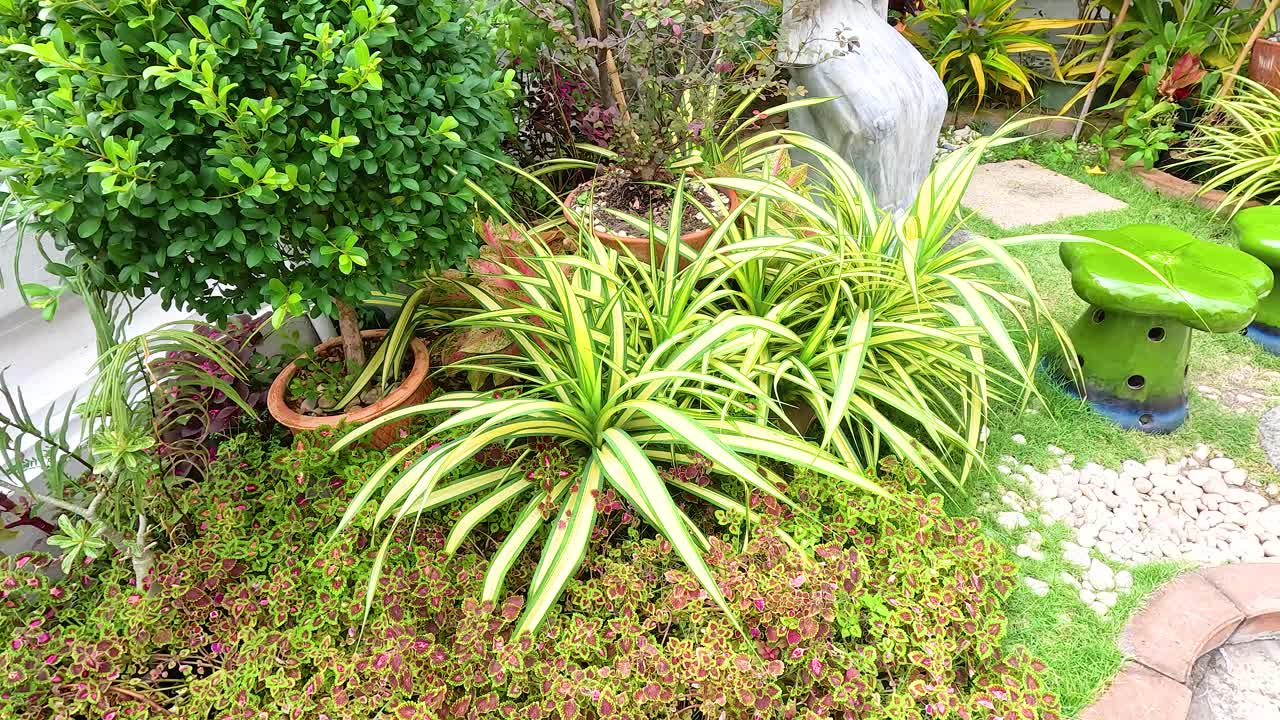 A tranquil garden scene at Wat Phra Kaew, featuring lush greenery, a stone statue, and vibrant foliage under natural daylight