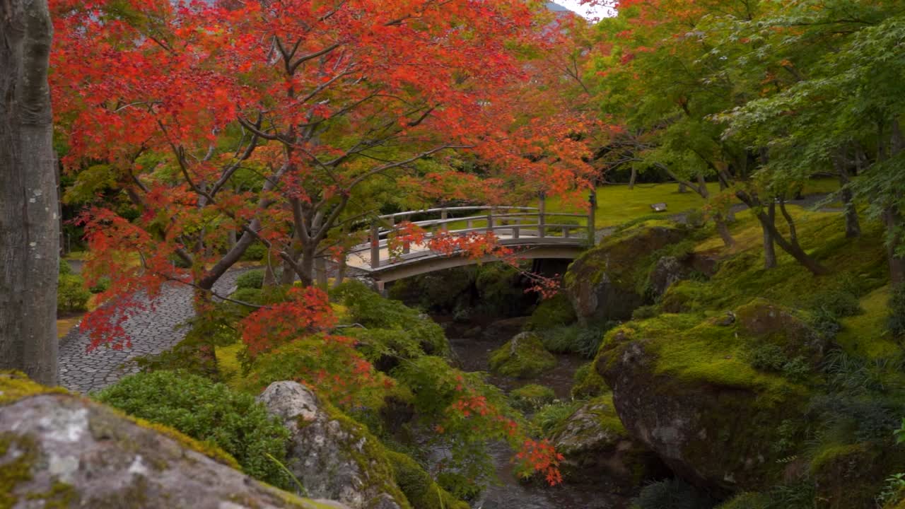 hermoso jardín de paisaje japonés con árboles rojos brillantes y puente sobre el río