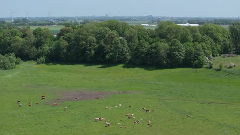 a tranquil view of greenery near kävlinge river in sweden - aerial panning