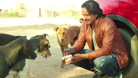 Indian-young-Man-feeding-street-dogs-a-piece-of-tasty-biscut-from-the-hand