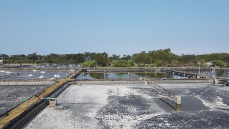 aerial view, captivity or shrimp pond in southern yogyakarta on the coast of samas