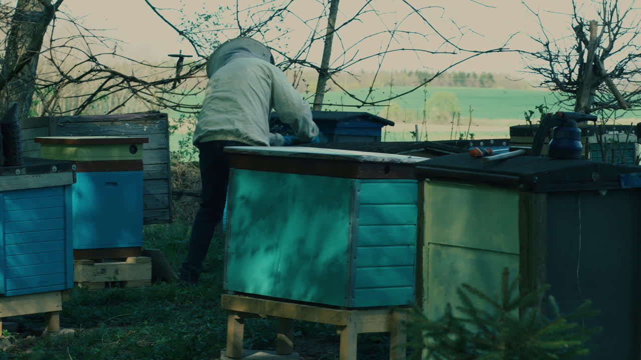 Beekeeper arranging frames at a gloomy apiary