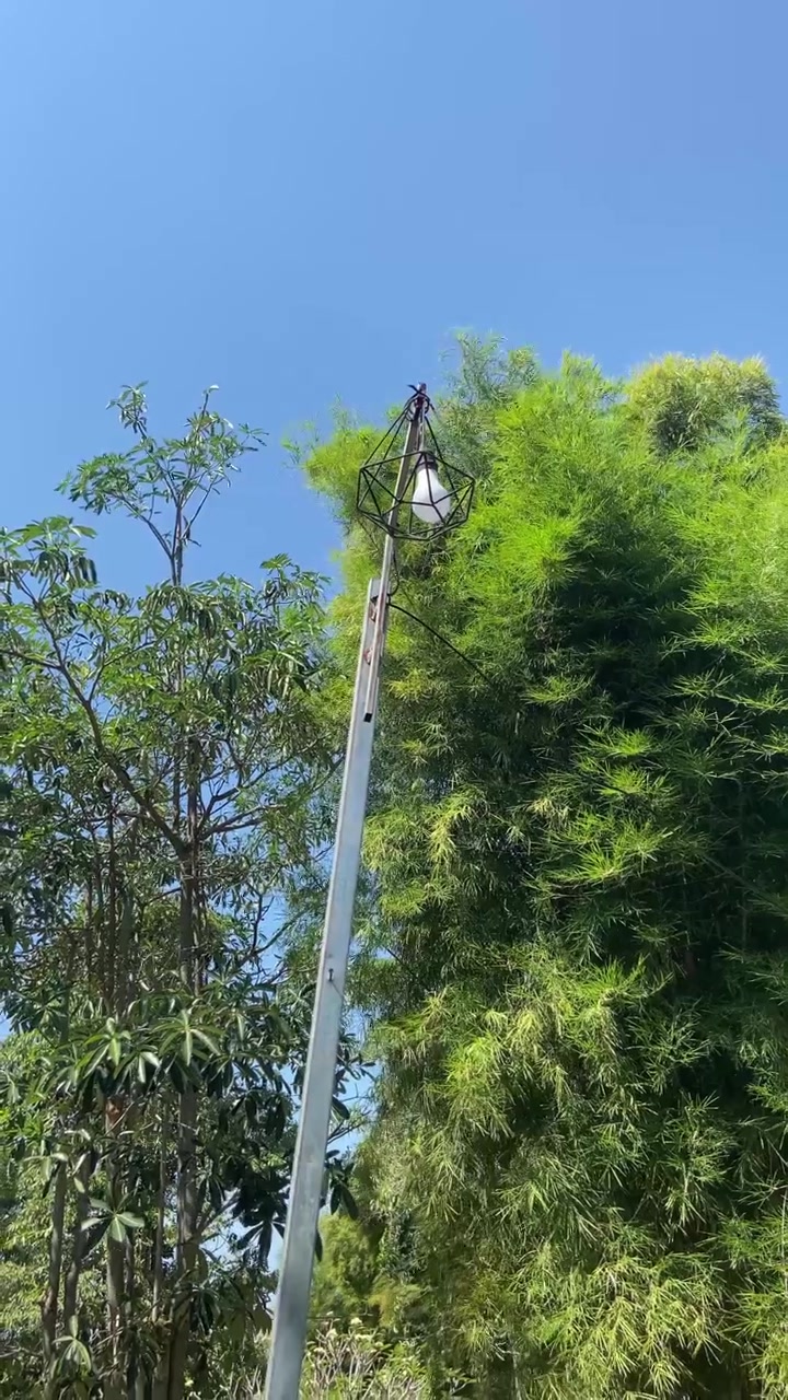 Long Pole with Light Fixture Extending Upwards Against Blue Sky