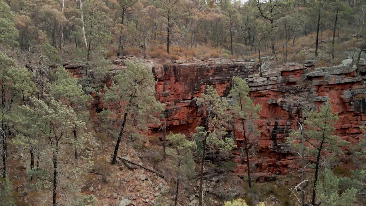 hermosa elevación aérea de alligator gorge con acantilado rojo y matorral seco, parque nacional mount remarkable, australia del sur