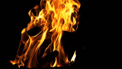 bonfire. burning wood in slow motion