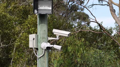 multiple cameras attached to a single post in a forest