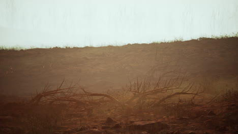 storm of dust and sand in desert