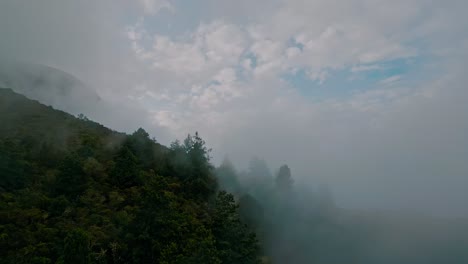 Lose-yourself-in-the-otherworldly-drone-footage-of-the-Yungas-cloud-forest,-as-swirling-mists-meander-through-lush-treetops,-painting-a-bewitching-tableau-that-fascinates-and-bewitches