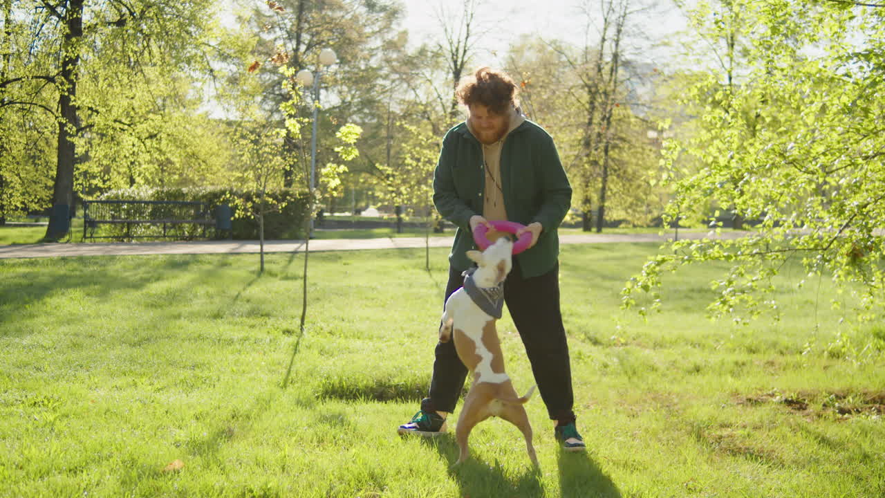 A man playing with his dogs in a sunny park
