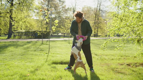 a man playing with his dogs in a sunny park