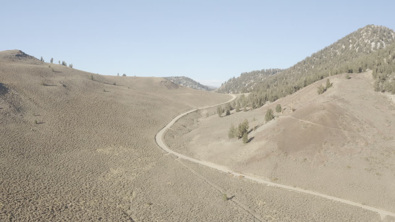 캘리포니아의 고대 브리슬 콘 소나무 숲을 따라 비행