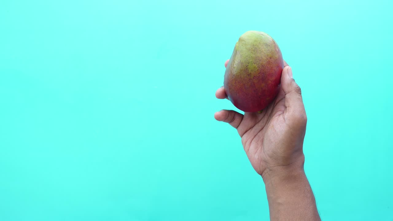Hand holding a ripe mango