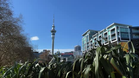 auckland, nueva zelanda torre del cielo desde el parque victoria, con cielo azul