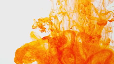 pintura o tinte naranja derramada en agua contra un fondo blanco para crear un fondo de humo de colores giratorios 6