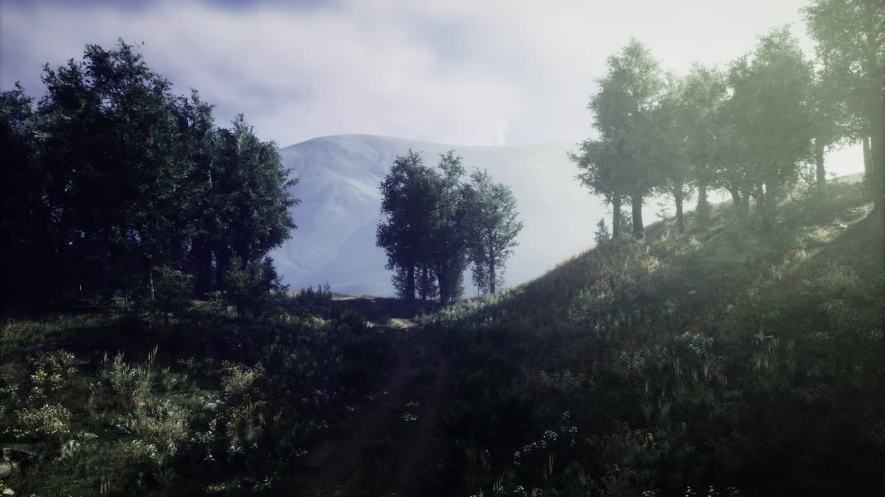 Scenic view of sunlight filtering through trees on a peaceful hillside