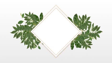 marco fotográfico para el espacio de copia con planta decorativa