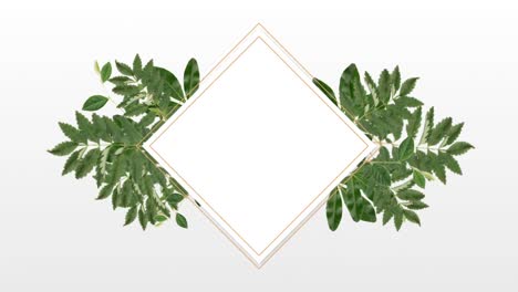 photo frame for copy space with decorative plant