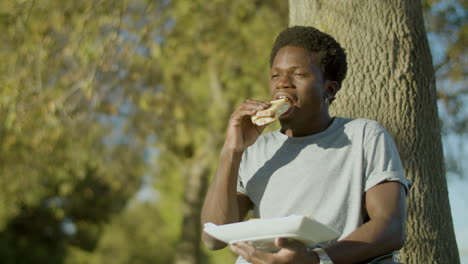 joven negro en silla de ruedas disfrutando de un sándwich en el parque