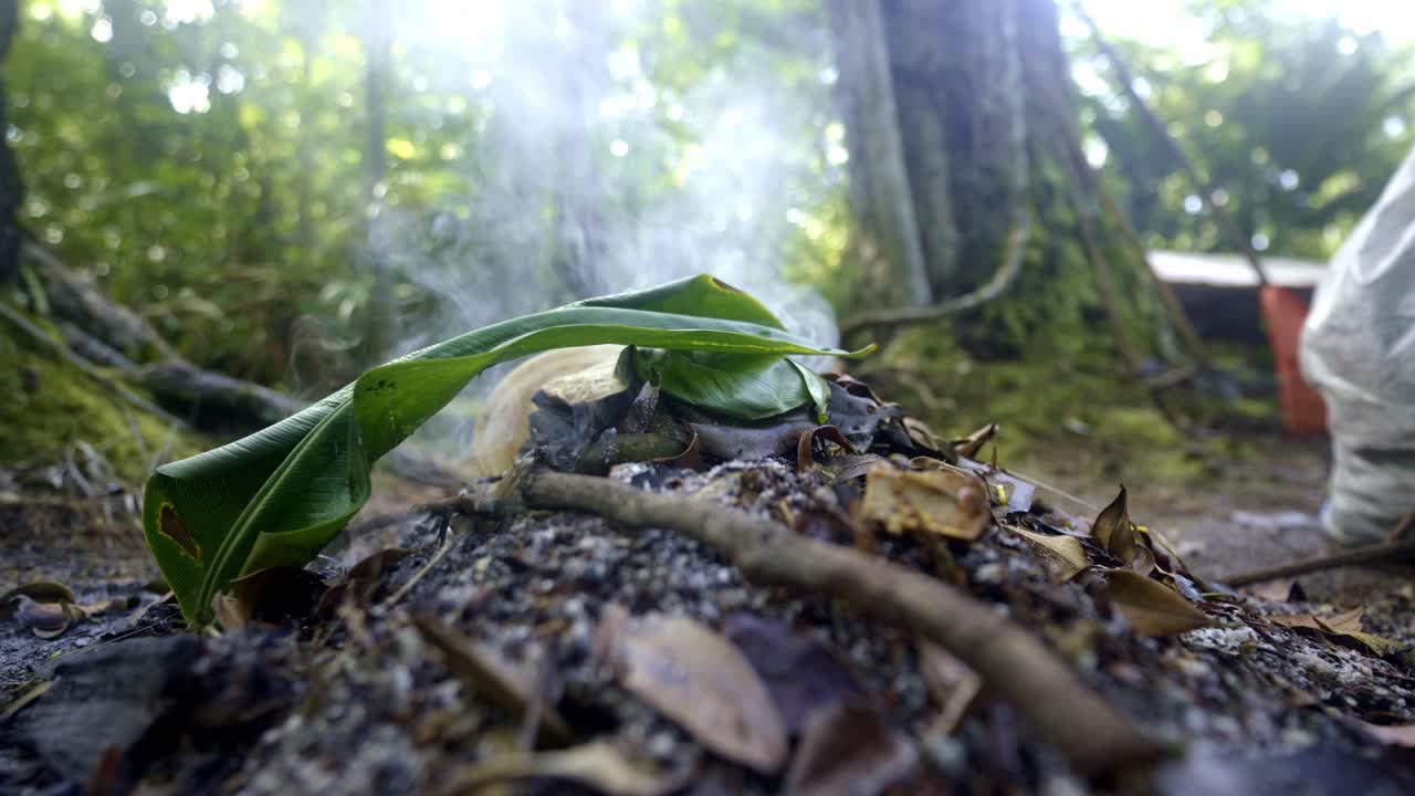 Smoke rising from a small fire in a lush green forest