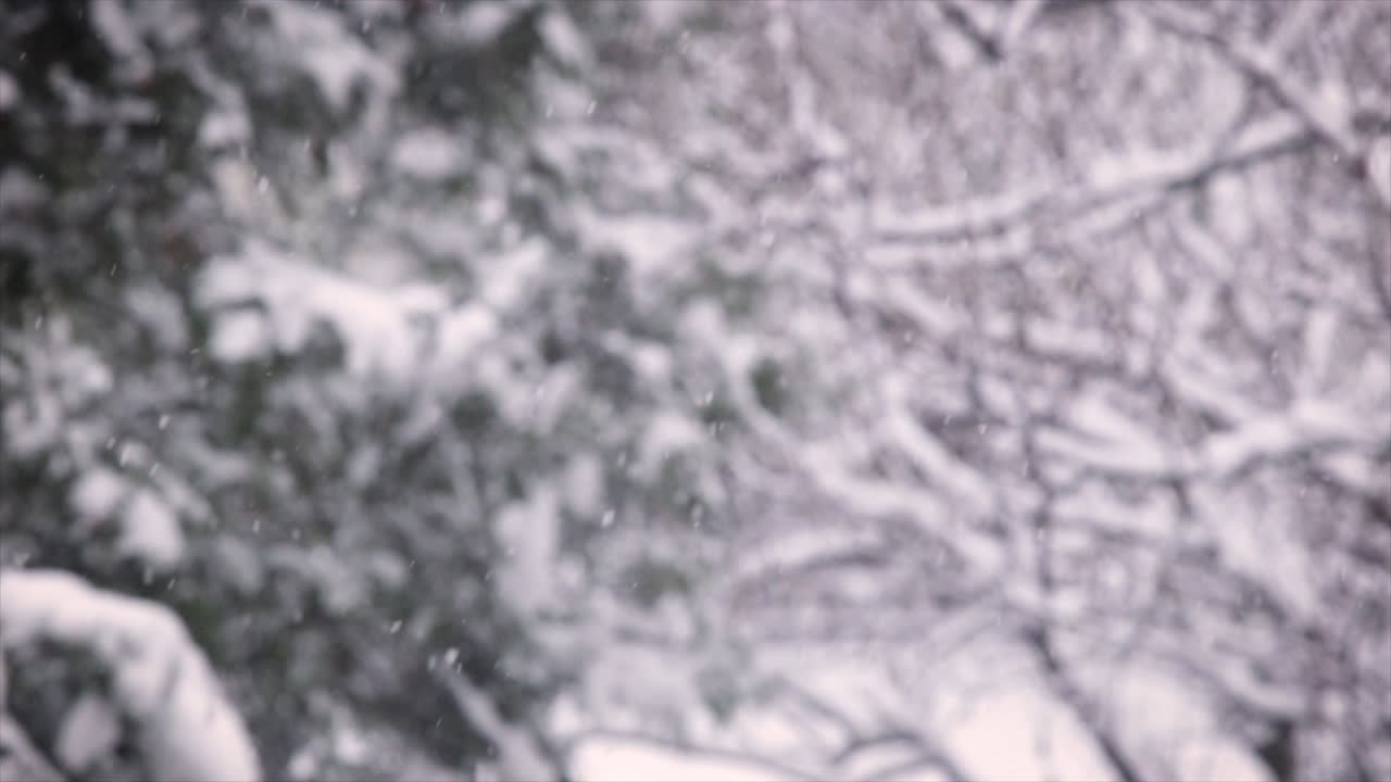 2018년 12월 눈 내리는 로케이션: 헝가리, 부다페스트 캐논 6d로 촬영