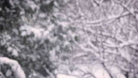 nevando en diciembre de 2018 ubicación: hungría, budapest grabado con un canon 6d