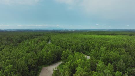 Panoramic View Of Lush Forestland With Touring Red Trolley Bus In Anchorage, Alaska