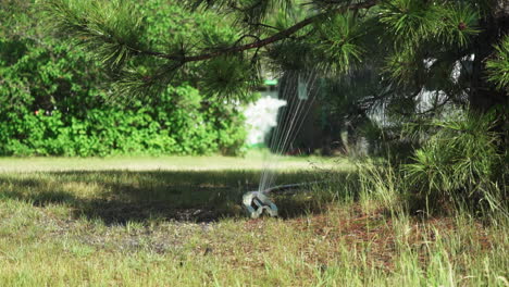 Oszillierender-Sprinkler,-Der-Gras-In-Einem-Park-Oder-Garten-Bewässert