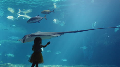 Niña-En-El-Acuario-Mirando-Mantarraya-Nadando-En-El-Tanque-Niño-Curioso-Observando-Animales-Marinos-En-El-Oceanario-Divirtiéndose-Aprendiendo-Sobre-La-Vida-Marina-En-El-Hábitat-Acuático