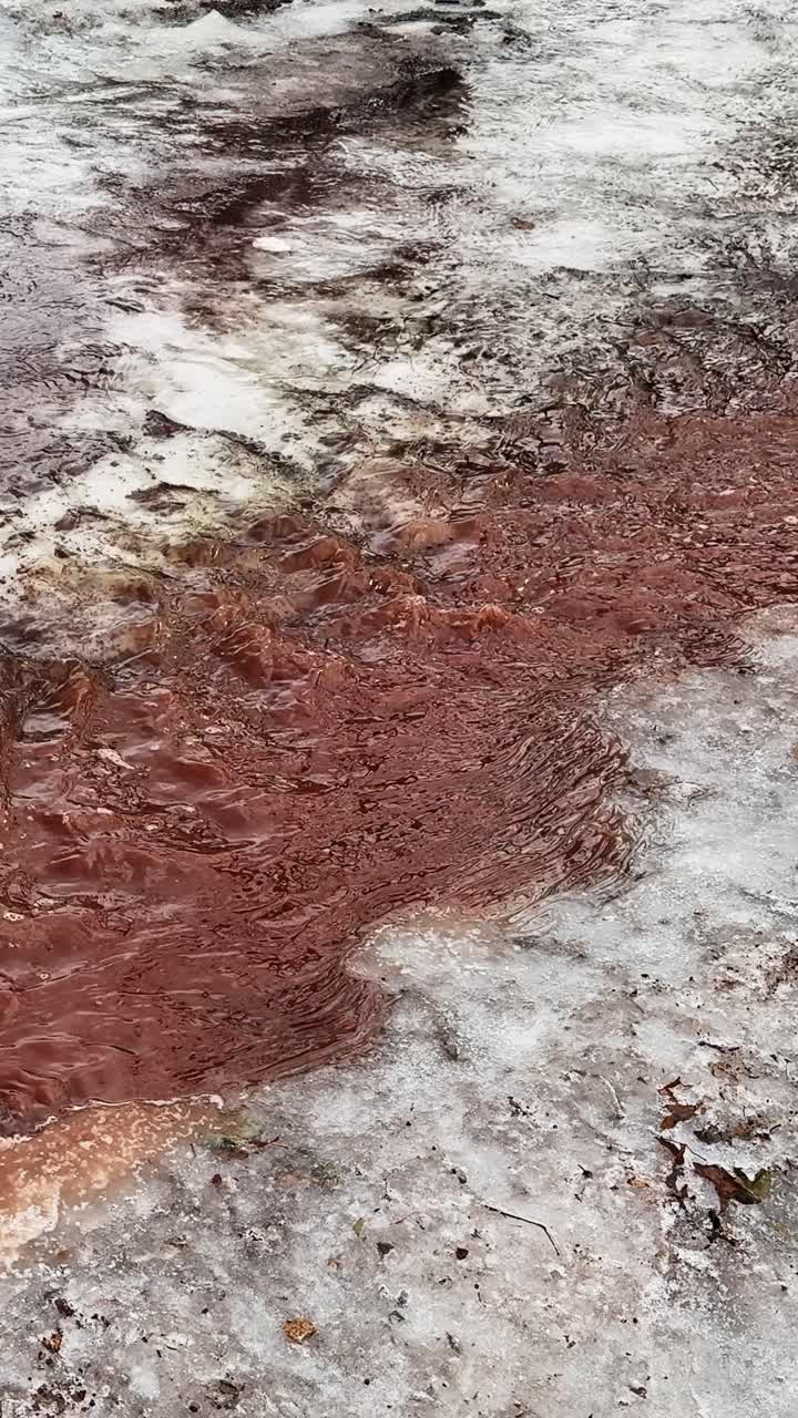 Il rapido scioglimento primaverile della neve si riversa in un sentiero rosso che si sta scongelando, mentre il deflusso si estende dal bordo fangoso, rendendo visibile il passaggio dall'inverno all'inizio della primavera a livello del suolo
