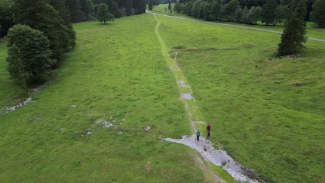 La-Gente-Camina-Por-Un-Pequeño-Sendero-Natural-En-Los-Alpes-Suizos,-Prado-Cerca-Del-Bosque,-Vista-Aérea-Superior-De-Drones,-Obwalden,-Engelberg