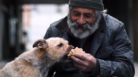 a heartwarming moment of companionship: an elderly man shares a meal with his loyal dog, highlighting the bond between humans and their furry friends in a cozy setting
