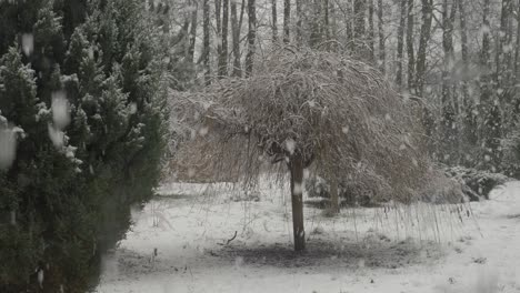 La-Nieve-Está-Cayendo-Como-Loca-Este-Invierno