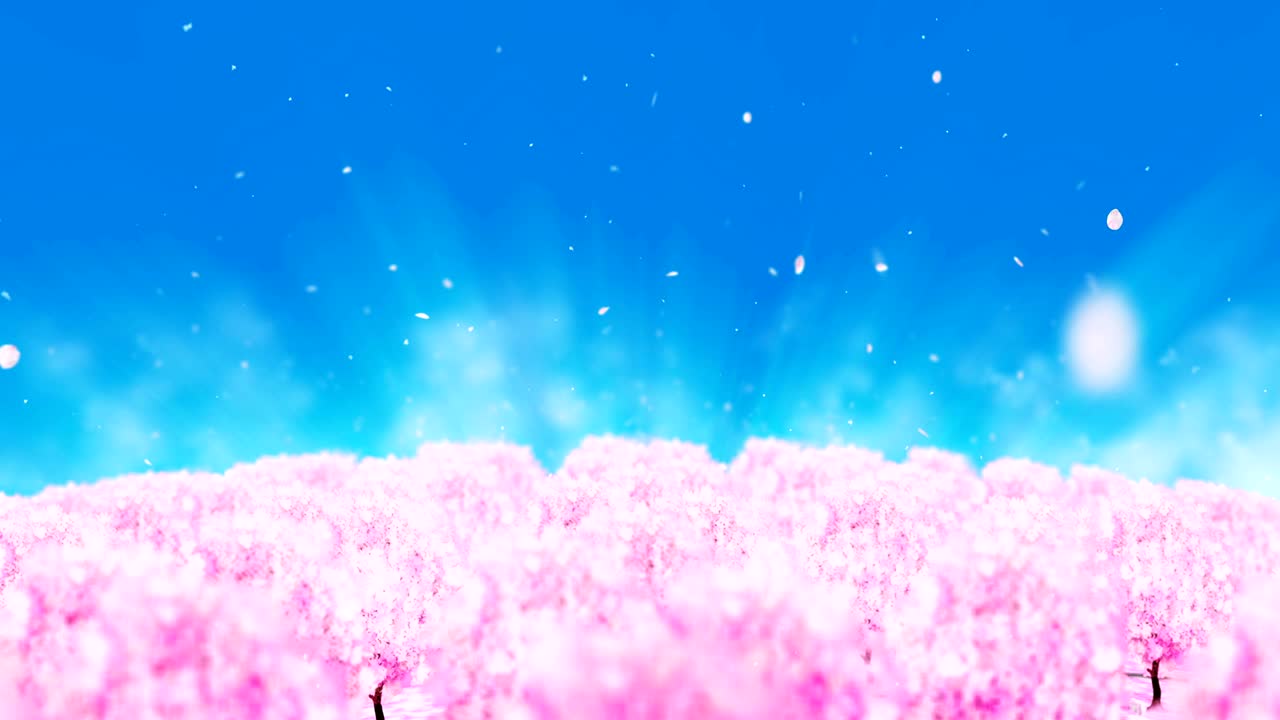 봄의 숲 풍경 일러스트레이션, 추상적인 자연 배경, 체리 꽃 루프 애니메이션