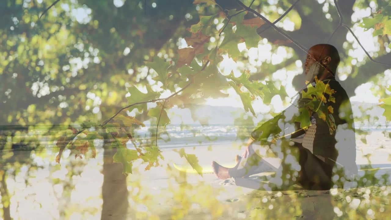 Sun brightening and layered revealing seated man meditating, leafy overlay framing sea for wellness