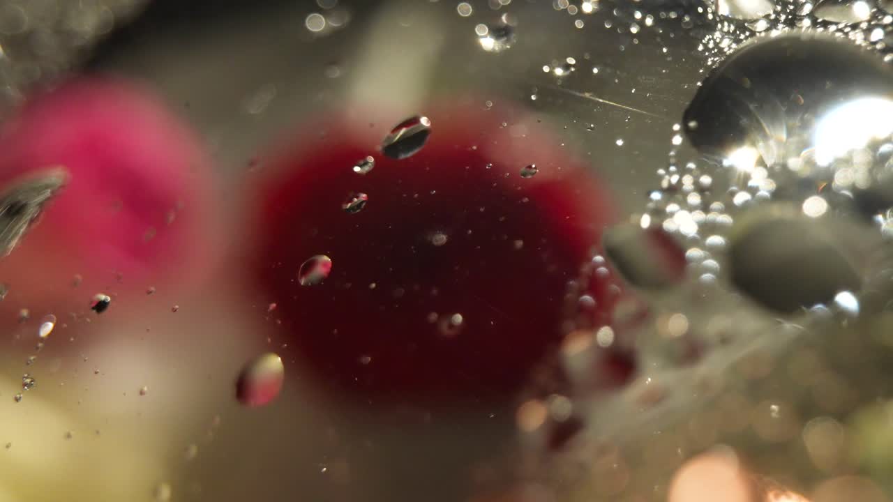 Rain Water Drops Sliding Down A Glass Window, Revealing Two Red Roses, Close Up Shot.
