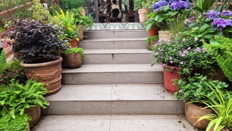 beautifully arranged plants on staircase in hanoi