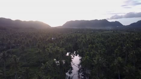 columpio de palma de coco doblado en el río maasin en la isla de siargao al atardecer