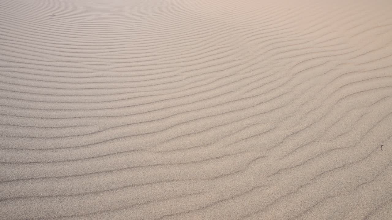 A wide view of wind-swept sand dunes reveals intricate natural patterns and textures in the Durgun Nuur desert region of Mongolia