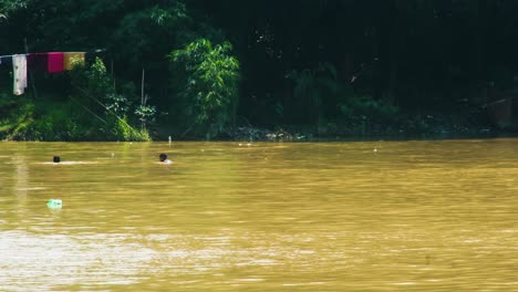 kids swimming in a river expanded by flooding in bangladesh - static shot