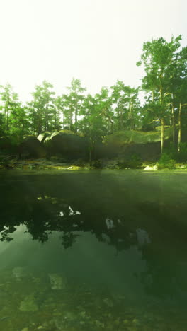 beautiful reflections on calm water in a serene forest landscape