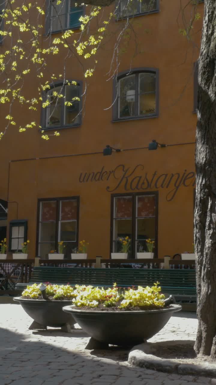 Building Facade with Tree Branches