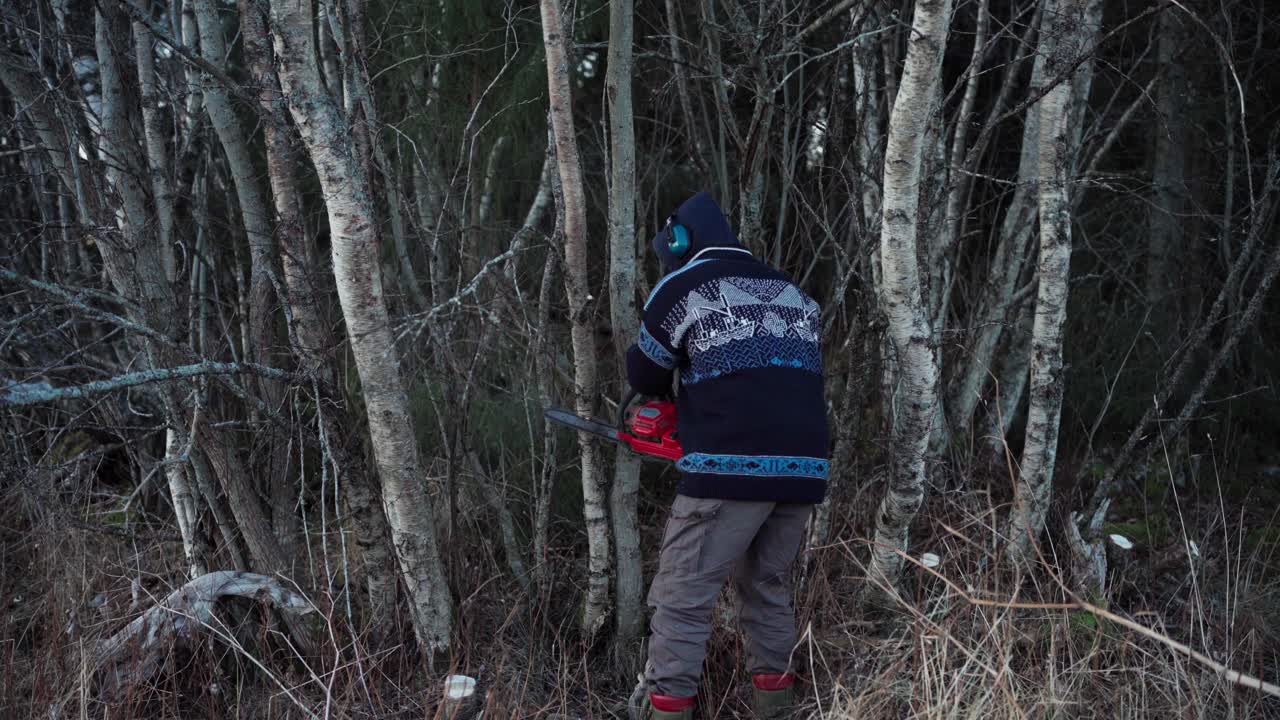 una persona está usando una motosierra para cortar un árbol - disparo estático