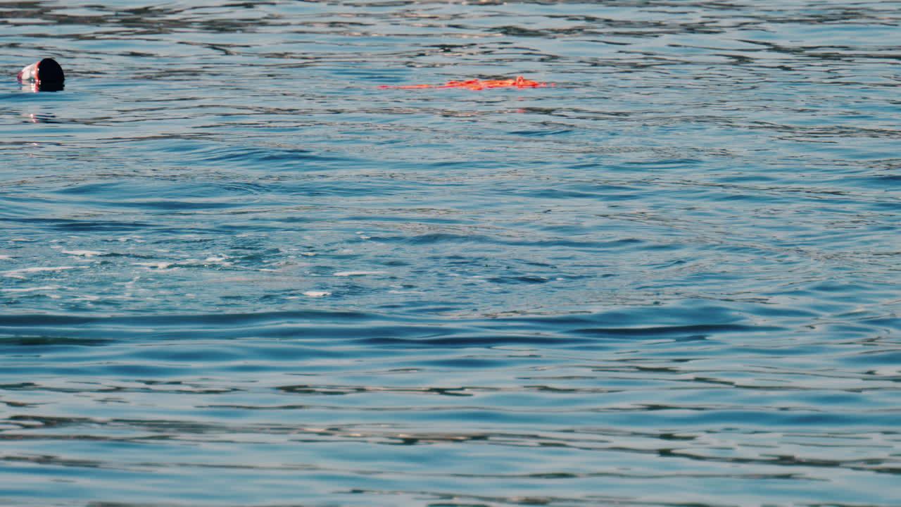 View of a man snorkeling in clear, calm, turquoise-blue water